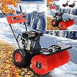BRAST Kehrmaschine Benzin | Kehrbürste Laubsammler | 4,8kW(6,5PS) - 5,14kW(7PS) | viele Modelle | 80-100cm Arbeitsbreite | 2in1 Funktion