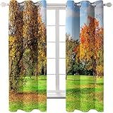 Homxi Blickdichte Gardinen Kinderzimmer 2 Stück,2 x 96W x 160H cm,Ösen Gardinen Küche Bäume und Rasen Orange Grün Vorhänge