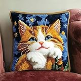 AxiangziK Tier Kissenbezug Knüpfset,Eine süße Katze,Knüpfkissen Set,DIY Knüpfteppich Knüpfpackung,Latch Hook Kits für Kinder und Erwachsene,17x17in