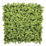 KARAT Pflanzenwand - Kunstpflanzen zur Wandmontage - 50 x 50 cm - Wandgarten - Künstliche Pflanzen Deko für Wand, Balkon & Garten (Houttuynia-cordata, 50 x 50 cm)