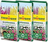 Floragard Blumenerde 3x20 L - Universalerde für Zimmer-, Balkon- und Kübelpflanzen - mit Ton und Langzeitdünger - 60 Liter, erdfarben