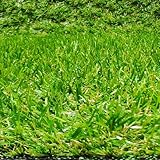 Tadi & Imperio1979 Rolle Kunstrasen, Teppich für Terrasse oder Garten, 20 mm Höhe, (150 x 200 cm)