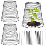 Pflanzenschutz-Gartenglocke Hühnerdraht-Pflanzenabdeckungen 3 Stück Metall Pflanzenhut Pflanzenschutzabdeckung Chicken Wire Plant Cover Gartenglocke Für Pflanzen mit 10 Stück Gartenpfählen