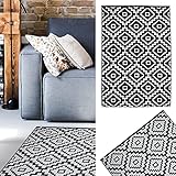 Teppich Outdoor 120x180 cm │Kunststoff schwarz-weiß Wendeteppich │ Bodenmatte für Außenbereich (1 x Teppich 120x180cm schwarz)