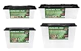 Terra Exotica Fauna Box Flat Transportbox für Reptilien, Amphibien, Insekten, Mäuse - Zuchtbox für Heimchen und Grillen - Faunarium (Large - 45x30x17 cm)