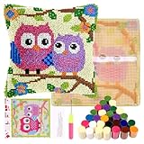 Knüpfhaken Kissen Kits Latch Hook Kissen Set für Kinder oder Anfänger Erwachsene DIY Latch Haken Kissenbezug Teppich Stickerei Set DIY Knüpfteppich Knüpfpackung für Home Sofa Dekor 43x43cm(Eule)