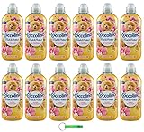 12x Coccolino Weichspüler Fresh & Protect Sandelholz und Geißblatt - Konzentrierter Weichspüler, 41 Wäschen, 952ml + Beni Culinari Kostenloser Schlüsselanhänger