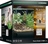Dennerle Nano Cube Complete+ 30 Liter - Mini Aquarium mit Abgerundeter Frontscheibe - Komplett-Set