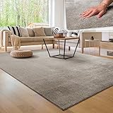 Paco Home Moderner Kuscheliger Wohnzimmer Teppich Kurzflor waschbar flauschig Weich Einfarbig Felloptik zeitlos stilvoll rutschfest pflegeleicht, Grösse:120x170 cm, Farbe:Grau