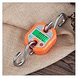 ZKLGS Hängewaage, Digitale Kranwaage Edelstahl 150 kg Hakenwaage Industrie/Landwirtschaft/Labor Abnehmbare tragbare Mikrokranwaage(Orange)