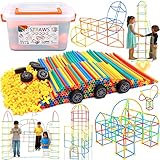 Purpledi Konstruktionsspielzeug Baustein - Kreative Verbindungsbausteine Spielzeug für Jungen & Mädchen, STEM Lernspielzeug, Geeignet für Kinder ab 3 4 5 6 7 8 Jahren (500PCS)