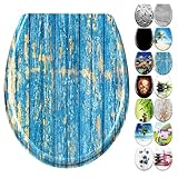YZNAHRE WC-Sitz Toilettendeckel mit Soft-Close, Duroplast & Edelstahl, Antistatisch & Antibakteriell, Abnehmbar, Leicht zu Reinigen, 45x38 cm, Passend für Hänge-WC, Blaue Holzdielen