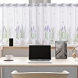 Daliena Scheibengardine mit Lochleiste Gardine Store Jacquard Küchengardine Spitze Kurzgardine Landhaus Fenstergardinen Transparent Gardine Spitze Weiß Vintage Kurz (BxH 90x50cm) 1 stück