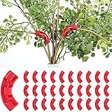 30 Stück Pflanzenwachstum Bieger Clips Gardening Plant Support Fixture Kletterpflanzen Befestigung Clip 90 Grad Pflanzenclip für Pflanzenkontrolle Biegeclips für Pflanzenzweige