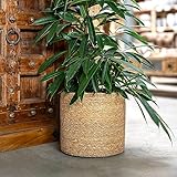 DARO DEKO Seegras Korb rund Natur Ø 19 x 17 mit Einsatz Blumentopf geflochten Aufbewahrungskorb Über-Topf Blumenkorb