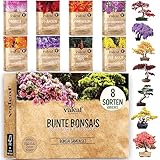valeaf Bunte Bonsai Samen Set I 8 Sorten Bonsaisamen im Starter Kit I Mini Baum Set I BonsaiTree Pflanzen Samen im Bonsai Kit I Exotische Samen zur Bonsaizucht mit valeaf Samen