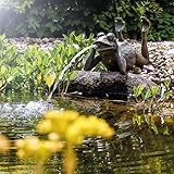 esotec Solar Wasserspeier Frosch Lazy Frog mit Solarpumpe, Teichfigur, Gartenfigur Gartenstatue, Tauchpumpe, Gartenbrunnen, Springbrunnenset außen, Vogeltränke Outdoor H=24cm 101650