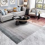 Ruby Lil Cashmere-Artiger Shaggy-Teppich, Area-Teppich, Wohnzimmer-Teppich, Innen-Innenraum-Teppich in Innenräumen, Spielzimmer Schlafsauger Teppich, Bodendekoration,C,2.6x3.9ft