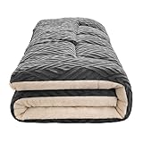 Futon-Matratze, dick, faltbar, für Gäste und Camping, tragbar und leicht zu tragen, 180 x 200 cm