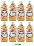 8x Coccolino Weichspüler Fresh & Protect Sandelholz und Geißblatt - Konzentrierter Weichspüler, 41 Wäschen, 952ml + Beni Culinari Kostenloser Schlüsselanhänger