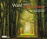 Waldspaziergang 2018 – Wandkalender 58,4 x 48,5 cm – Spiralbindung: A Walk in the Woods. Promenade en forêt
