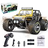 PENGBU RC Ferngesteuertes Auto ab 8 6 5 4 Jahre, Auto Ferngesteuert ab 6 8 Jahre, Monstertruck ferngesteuert ab 6 Jahre, 1/22 RC Auto Kinder mit Fernbedienung 2.4GHz All Terrain Wasserdicht (2 AKKU)