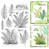 LOBLELAND Frühling Blätter Silikon Stempel 4.3x6.3 Zoll Farne Pflanzen Klare Stamps Silikonstempel für DIY Journal Scrapbooking Fotoalbum Stempelset 11x16cm