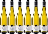 Vier Jahreszeiten Dürkheimer Steinberg Riesling Kabinett trocken 2022-6 x 0,75 Liter