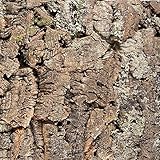 EKB-Kork Rückwand Kamari Zierkork für Terrarien (Kamari 900 x 600 mm)