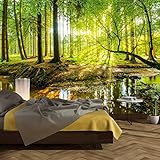 Fototapete Wald 366 x 254 cm inklusive Kleister Bäume Holz Sonne Natur Schlafzimmer Wohnzimmer
