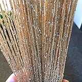 HYSENM 2 Stücke Fadengardine Fadenvorhang 100 x 200cm Fliegenvorhang Terrassentür Glitzer Schön für Hochzeit, Champagne