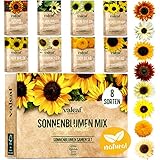 valeaf Sonnenblumen Samen Set I 8 Sorten Sonnenblumensamen I Sonnenblume Blumensamen im praktischen Pflanzen Set I Sommerblumen Samen Wildblumenmischung I Pflanzen Samen ideal als Blumensamen Geschenk
