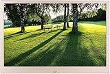 GPECTIFO Digitaler Bilderrahmen aus Aluminiumlegierung, hochauflösender, ultradünner elektronischer Fotoalbum-Musik- und Film-Player(Champagne Gold,13inchs)